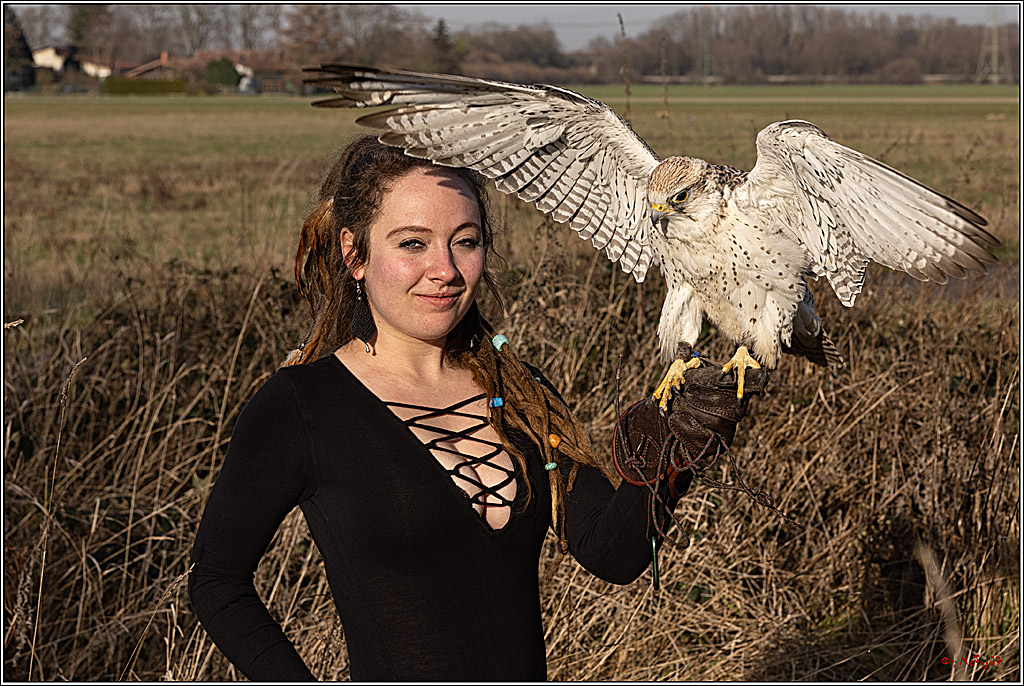 Cheyenne-Halbblut Hunting Wolf in der Falknerei Pierre Schmidt; Gymnich, 09.02.2023